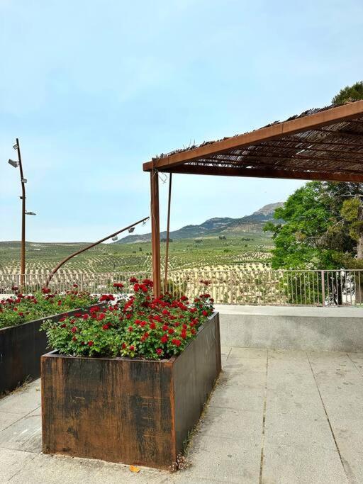 Los Molinos Quesada Luaran gambar
